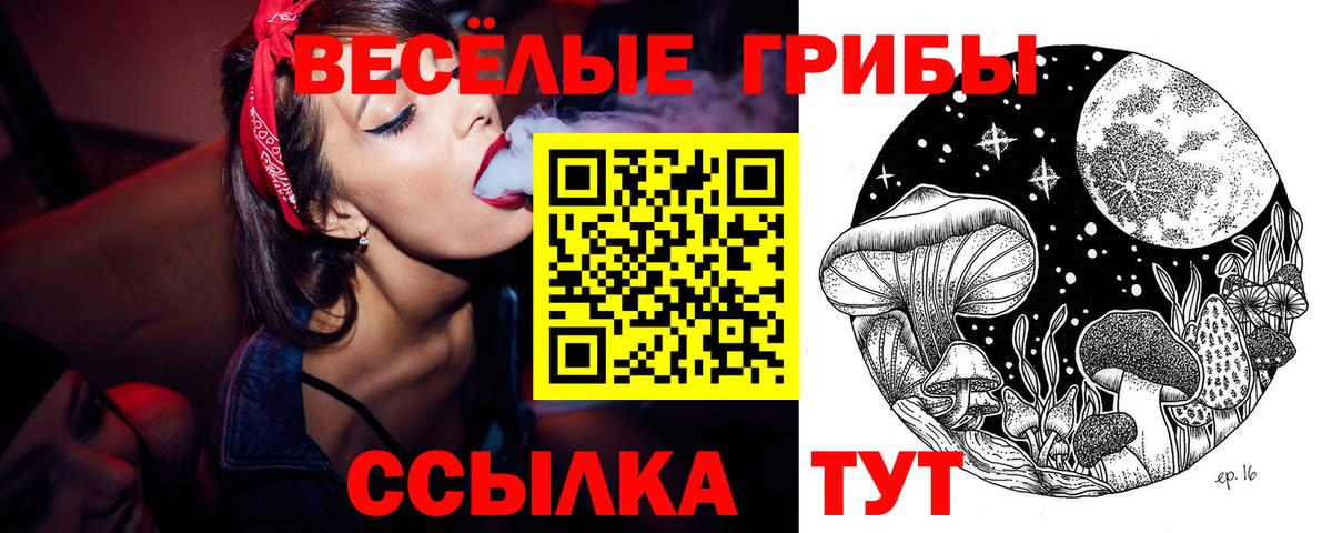 Фролово  наркошоп  Псилоцибиновые грибы мицелий  Вход с VPN  Галлюциногенные грибы GOLDEN TEACHER 